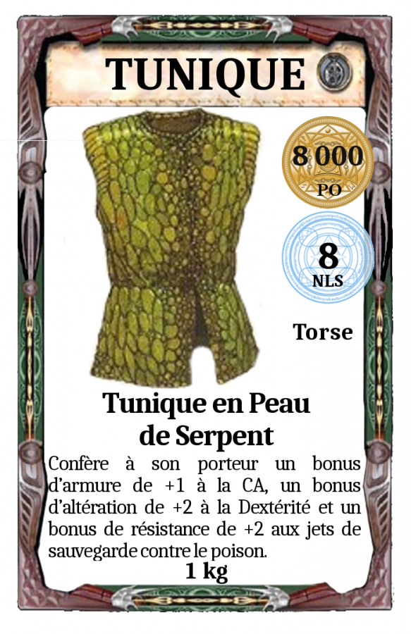 Tunique Peau de serpent
